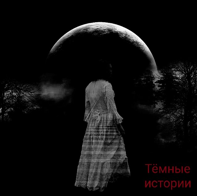Изображение для иллюстрации.