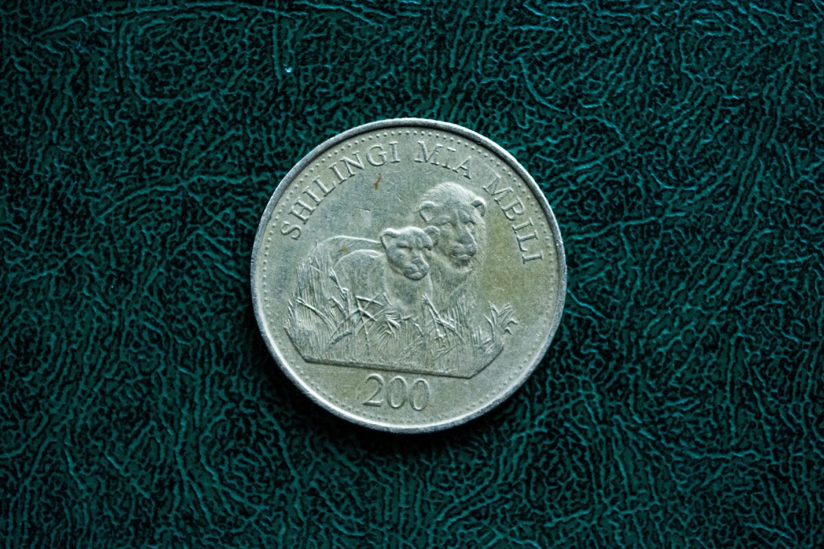 Монета 10 р на столе. Заработай монет. Монета с одной стороны цветок с другой медведь. Strckd как заработать монет.