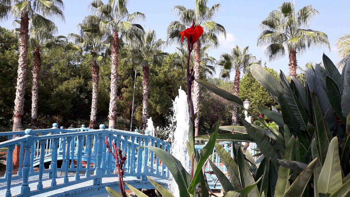 Парк на пляже Клеопатры №6