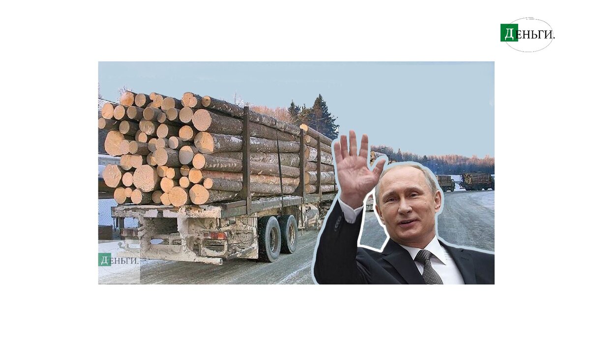 Интересно, а куда увозят лес- риторический вопрос, не так ли?