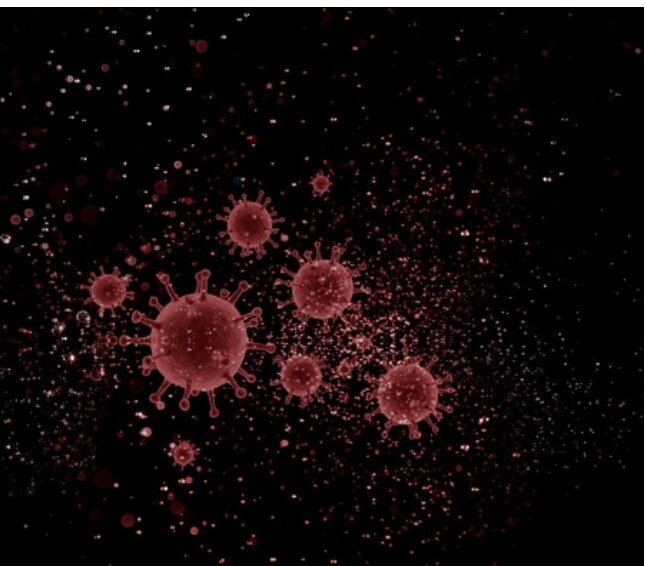 Если бы вакцины от гриппа обеспечивали иммунитет от коронавируса, у нас бы не было необходимости в разработке и внедрении специализированной вакцины против COVID-19. Однако ряд исследований показывает, что у тех, кто вакцинировался от гриппа, заметно ниже шансы заболеть коронавирусом. Более того, даже заболев, такие люди легче переносят COVID-19. 
Исследователи из Мичиганского университета проанализировали данные о более чем 27 000 пациентах, которые прошли тест на коронавирус в Медицинском центре университета с марта по июль 2020 года. Всего 1218 тестов оказались положительными, и это составило 4,5% от всего количества. После этого учёные поделили показатели на две группы в зависимости от того, делали ли пациенты в течение года прививку от гриппа. И тогда они увидели значительные различия между ними.


Для учёных "значительный" не обязательно значит "большой". Из 14 000 пациентов, не вакцинированных от гриппа, почти 5% заболели COVID-19, в то время как среди 13 000 вакцинированных этот показатель составил 4%. Казалось бы, всего 1% разницы, но это после того как исследователи исключили другие факторы риска, которые могли повлиять на это соотношение. То есть взаимосвязь вакцинации от гриппа и "устойчивости" к коронавирусу действительно существует.

Этот вывод поддерживают и другие исследования. Более того, некоторые исследования связывают вакцинацию от гриппа со снижением риска смерти от COVID-19. Американские учёные также выяснили, что пациенты, сделавшие вакцину от гриппа, и при этом заразившиеся коронавирусом, реже нуждались в госпитализации и искусственной вентиляции лёгких.

Однако механизмы, которые приводят к такому защитному эффекту, пока остаются загадкой для учёных. Есть интересное предположение, объясняющее это психологическими особенностями тех, кто проходит вакцинацию перед сезоном гриппа. Учёные считают, что это ответственные люди, которые больше заботятся о своём здоровье и лучше выполняют предписания медиков. То есть, и коронавирусные ограничения они соблюдают так же осознанно, а значит, реже болеют.

Исследователи также не исключают наличие некого биологического механизма защиты. Возможно, иммунитет лучше "натренирован" защищать организм от самых разных угроз после вакцинации от гриппа.

Авторы работы, опубликованной в издании American Journal of Infection Control, не считают, что вакцина от гриппа надёжно защитит кого-либо от COVID-19. Но это проверенный и надёжный способ защиты хотя бы от одной сезонной инфекции, и он точно подойдёт людям, которые по какой-то причине не доверяют новым вакцинам от коронавируса. Если так можно хоть немного уменьшить вероятность тяжёлого течения COVID-19, исследователи советуют воспользоваться этой возможностью.