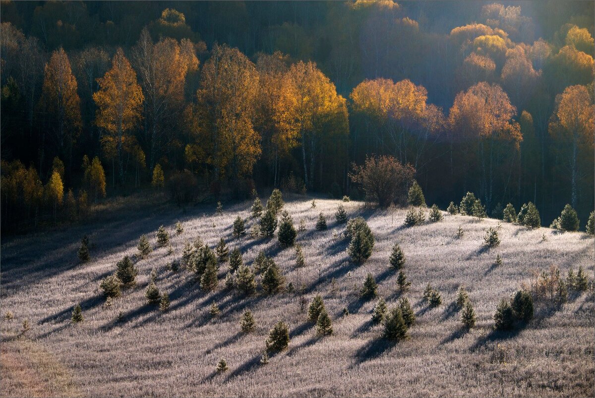 фото Закира Умарова