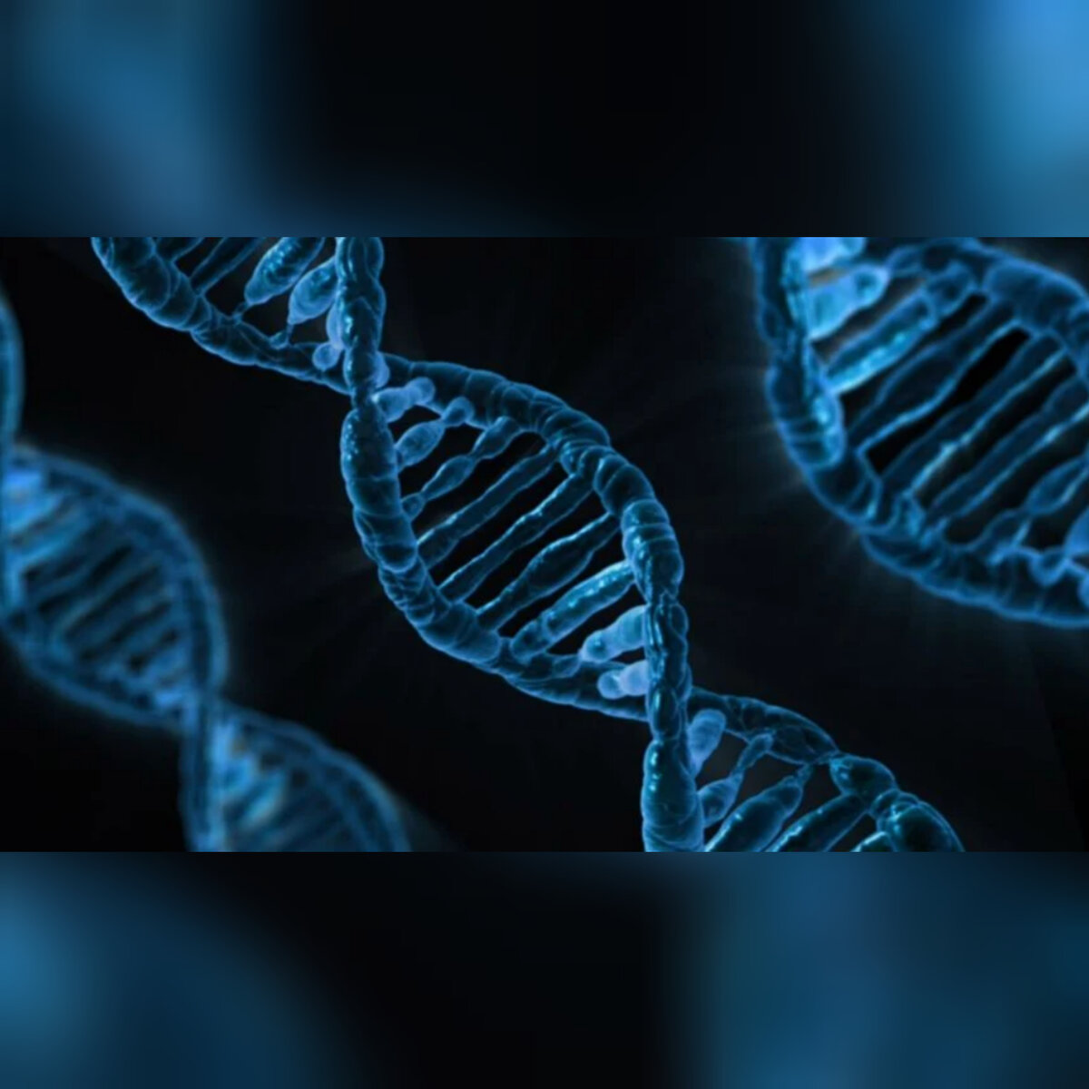 T dna. Memes the DNA of the Soul.