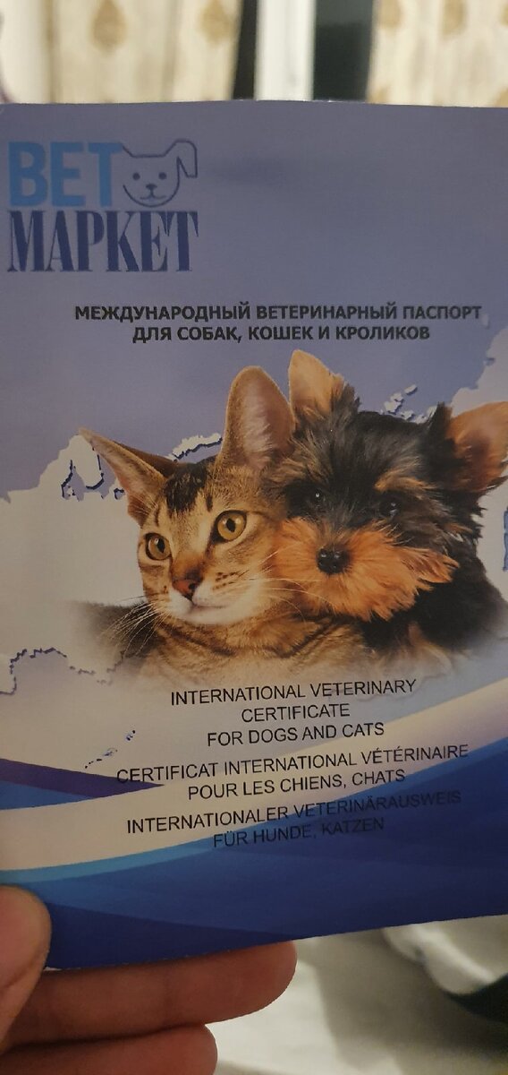 Вот так выглядит паспорт нашего подопечного.