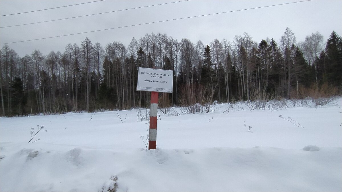 На дороге встречается много таких информационных табличек