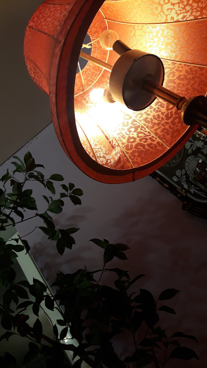 Фото автора, для обложки