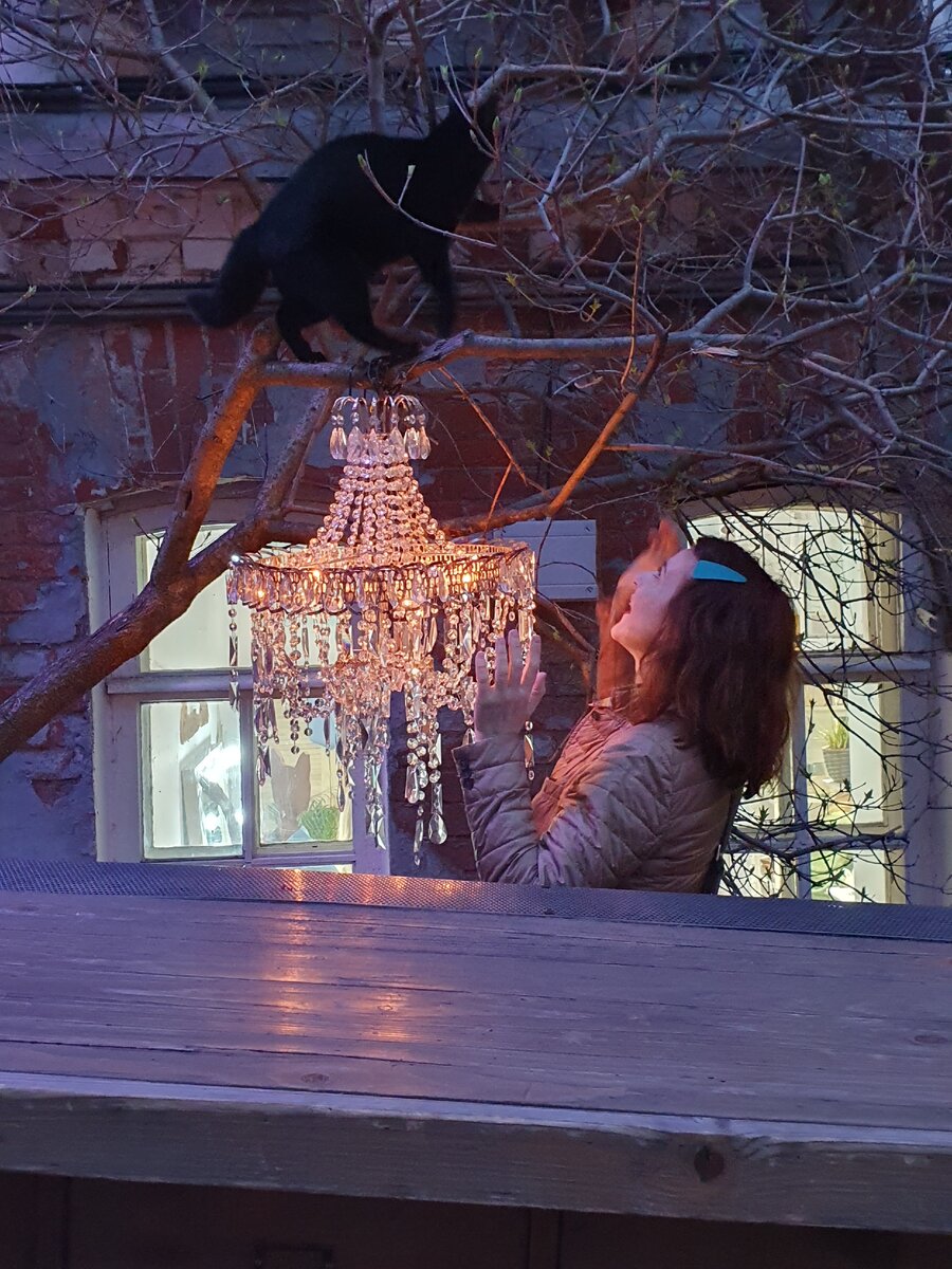 Киса, киса, брысь!