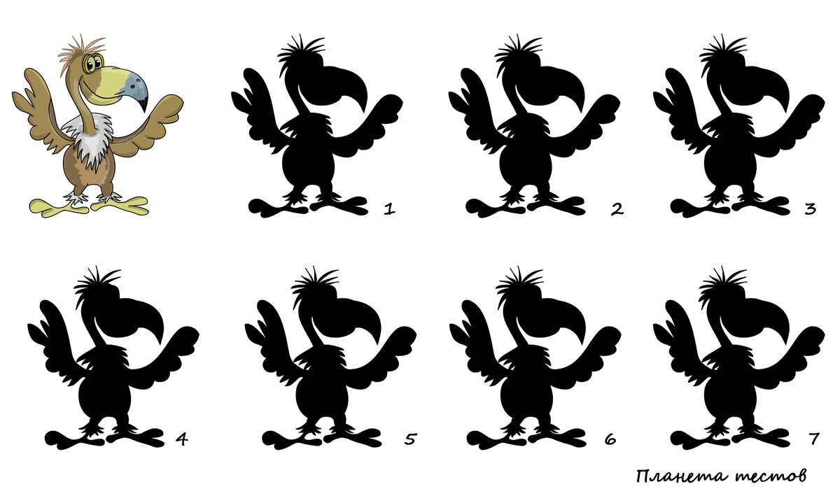 Найдите правильную тень