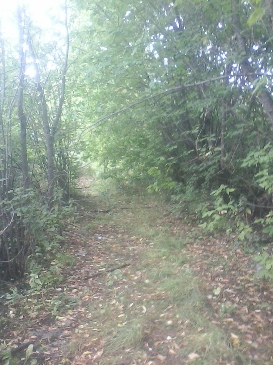 фото из личного архива