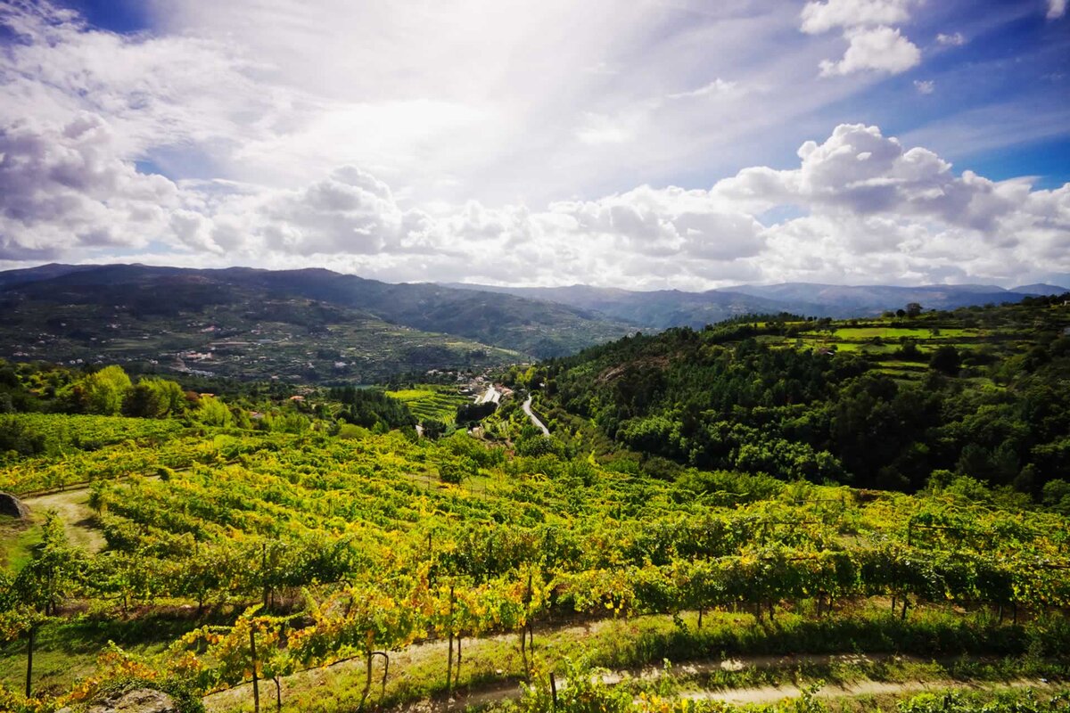 Провинция Бейра Байша. © https://www.voyageportugal.ch/circuits/beira-baixa
