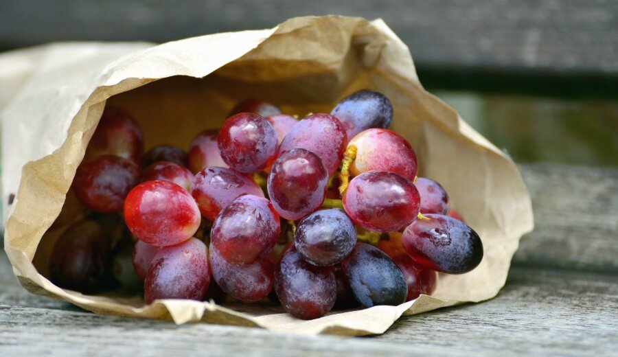 А вы знали, что виноград – не просто полезен, а очень полезен? Раскусывая его сочные ягоды, вы получаете намного больше, чем просто приятный вкус.