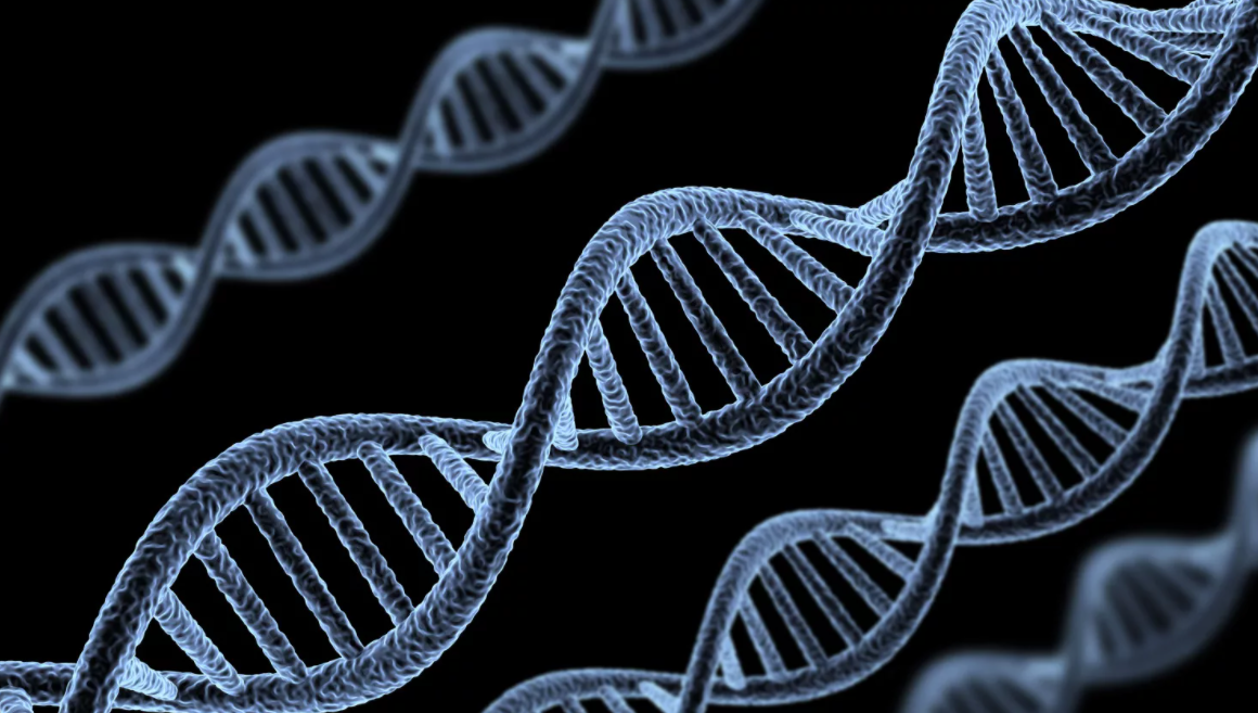 Яндекс картинки 