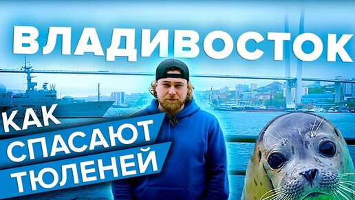 СПАСЕНИЕ ТЮЛЕНЕЙ | КАК ВО ВЛАДИВОСТОКЕ БОРЮТСЯ ЗА ЖИЗНИ МИЛЫХ МЛЕКОПИТАЮЩИХ