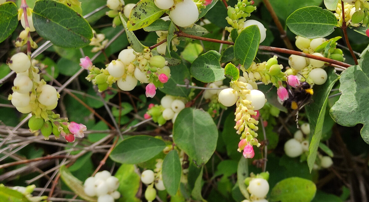 Когда еще было тепло