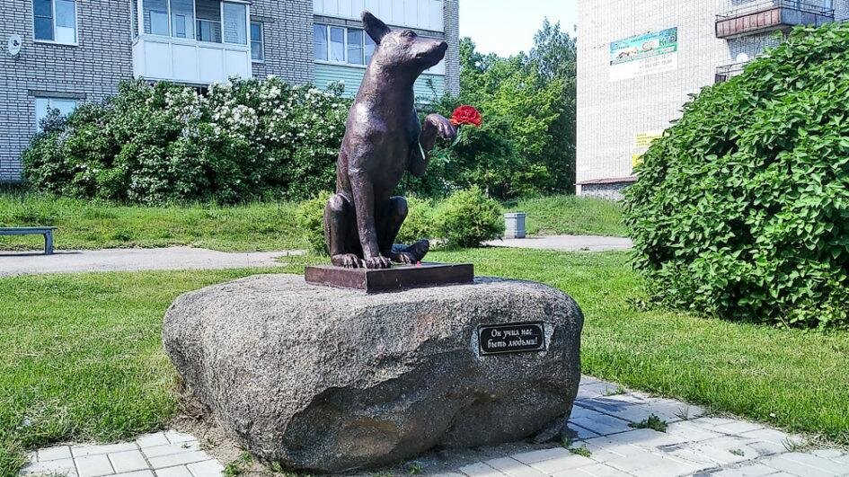 Памятник бездомной собаке Юрику