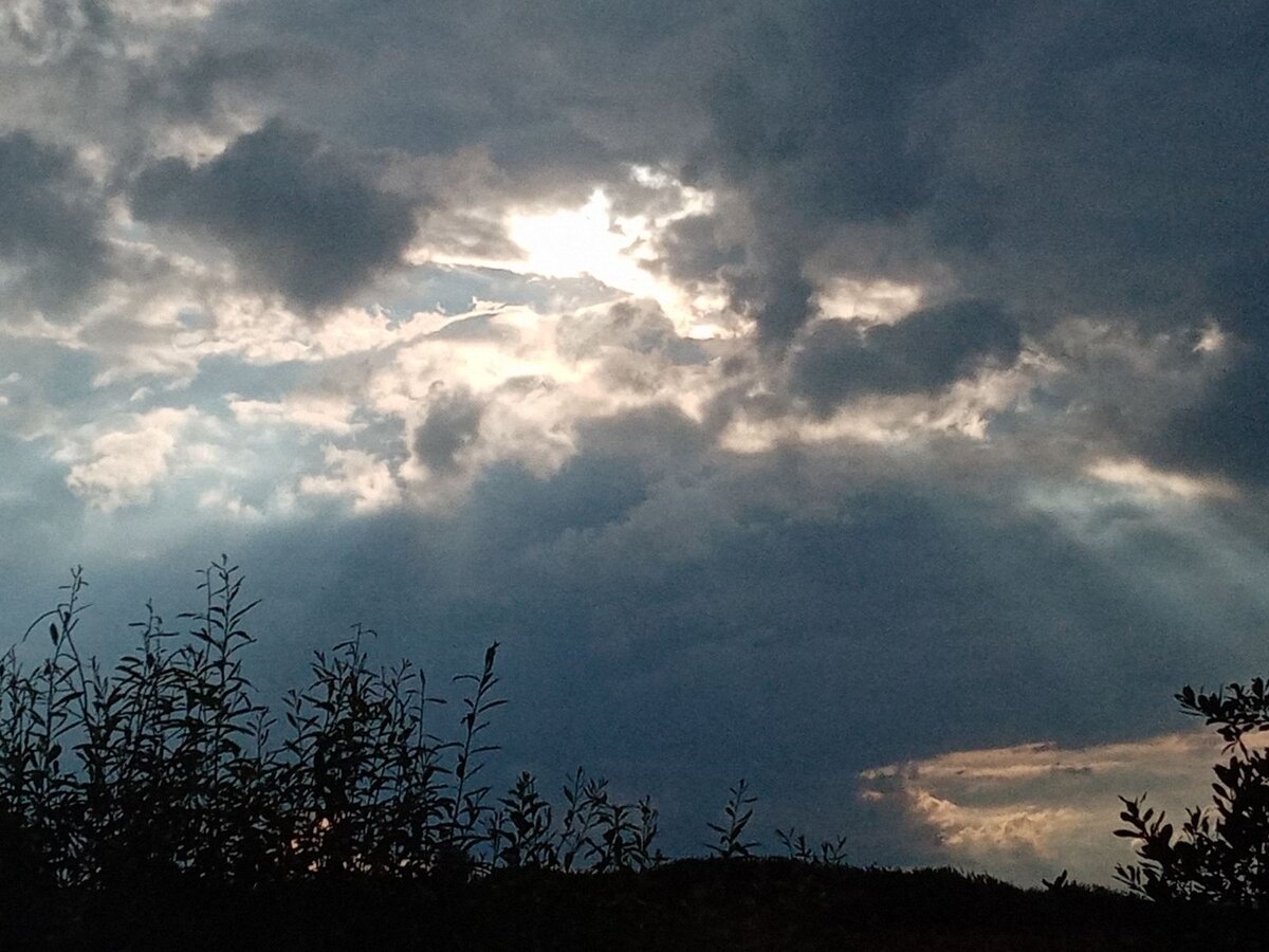 Фото автора.