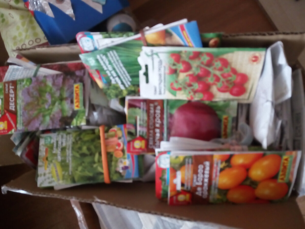 Это мои запасы семян. Думаю, что не все из них будут посеяны в этом сезоне... и это правильно. Есть много и "своих" семян томатов и тыкв, например.