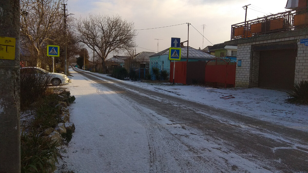 Стрекоза, муравей и зима в Анапе: провожу небольшую аналогию по басне  Крылова | Сибиряки на море | Дзен