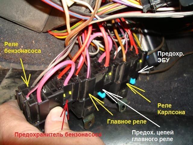 Фото с интернета