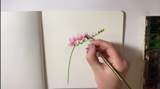 Как нарисовать розу карандашом новичку