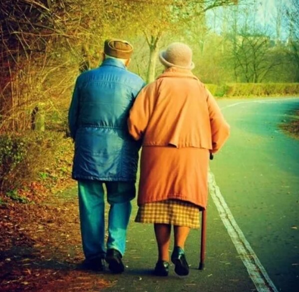 Яндекс. Картинки