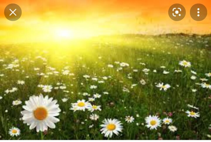   Летом отдыхай, а зимой учись!? Зачем такое "удовольствие"