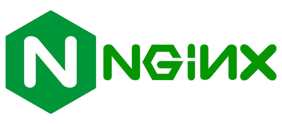Логотип Nginx