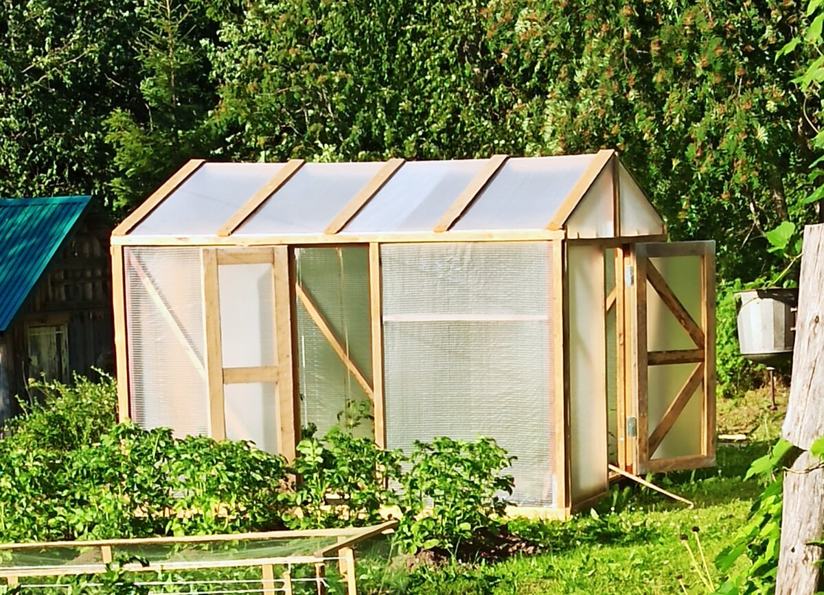 Моя идеальная теплица. Фото автора