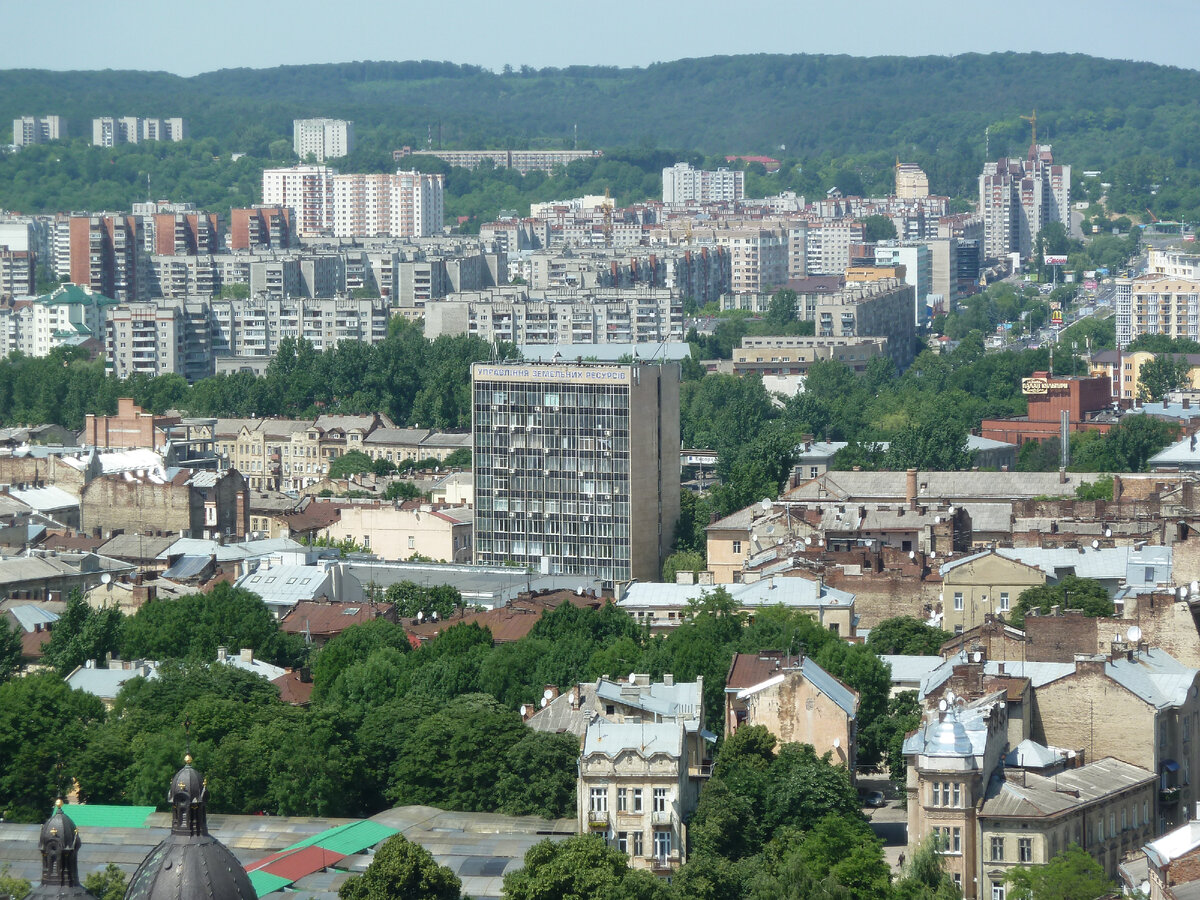 Фото Дмитрия Ластова