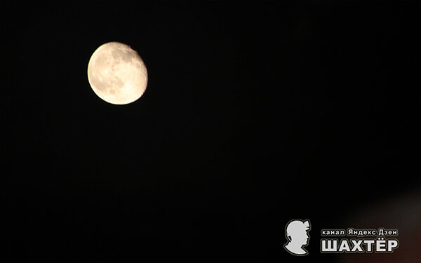 Фото автора. Снимок не имеет прямого отношения к истории, а лишь косвенно иллюстрирует публикацию.