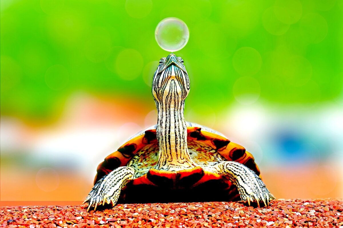 Фото автора: Pexels/pixabay.com