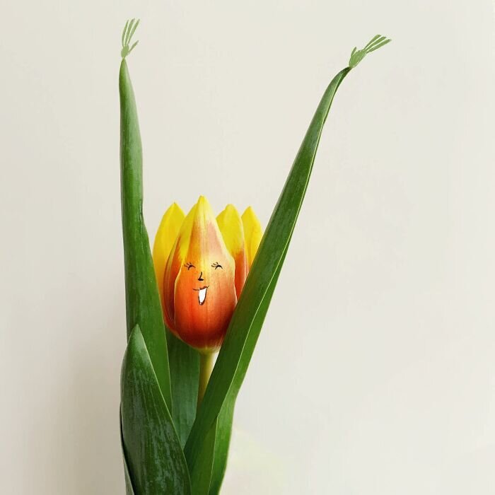 Фото: www.instagram.com/mr.kriss/ 