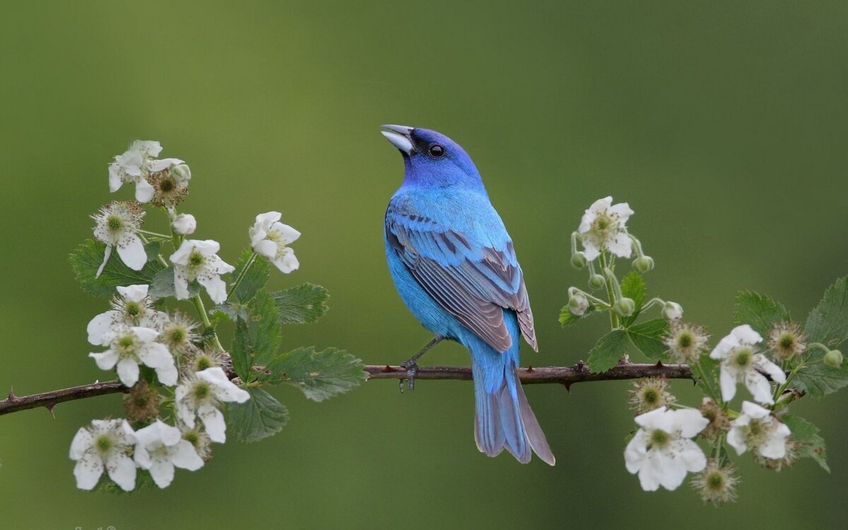 Намек на проект, где участвует Главный Герой.... Изображение из Яндекс-картинок.