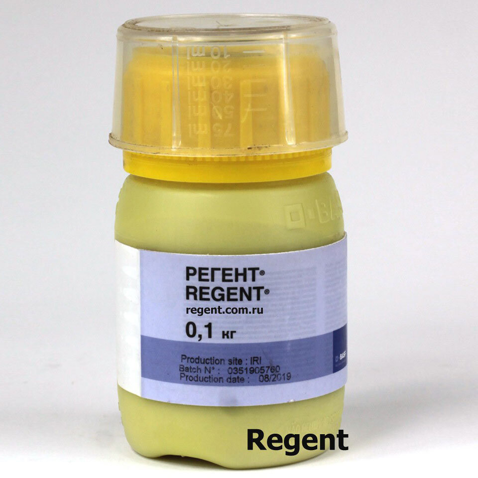 Регент - контактно-кишечный инсектицид