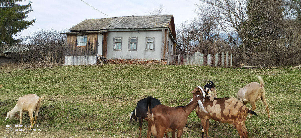 Один из пустующих домов