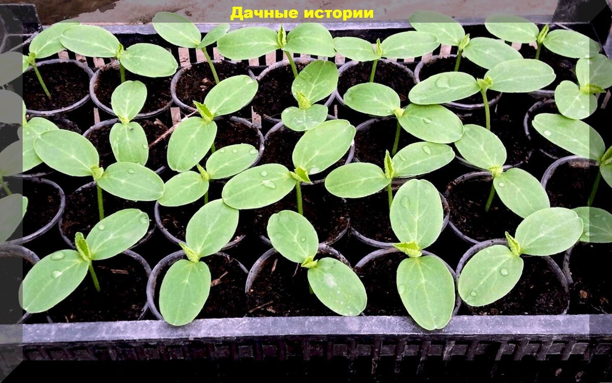 https://vk.com/photo-159774511_457252808