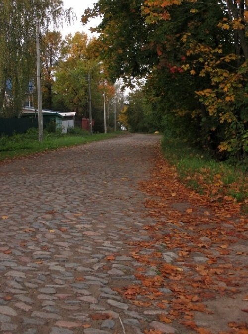 Старинное мощение на Шлиссельбургском шоссе. Источник: СПбО ВООПИК