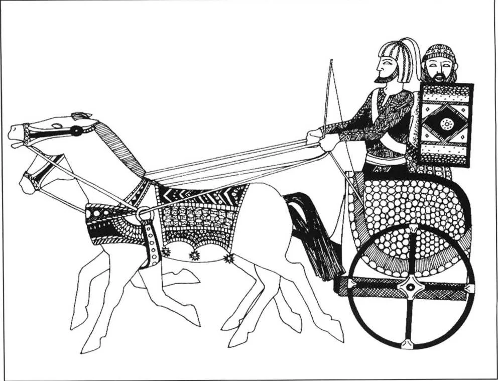 Гиксосы. Рисунок Таллиса-Стилмана из книги "Армии Древнего Ближнего Востока", 1984 год.