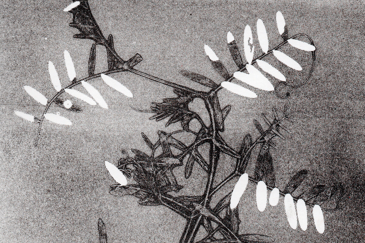 Техника снятия оттисков