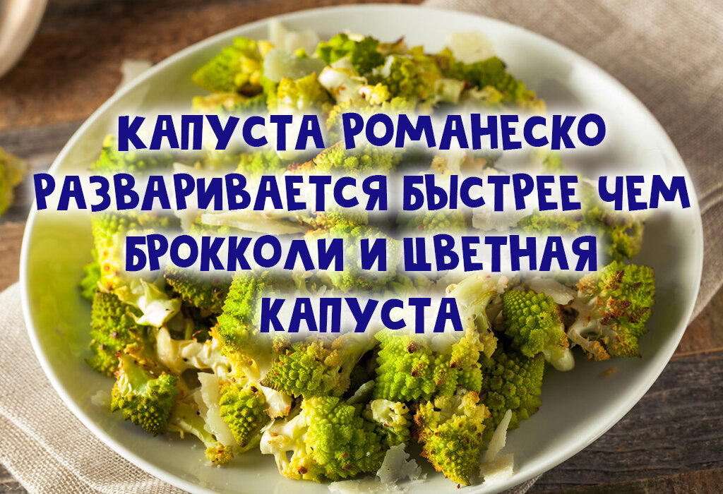 Почему брокколи называют спаржевой капустой, какая ее польза и калорийность