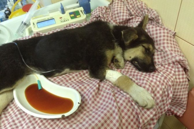 фото из интернета