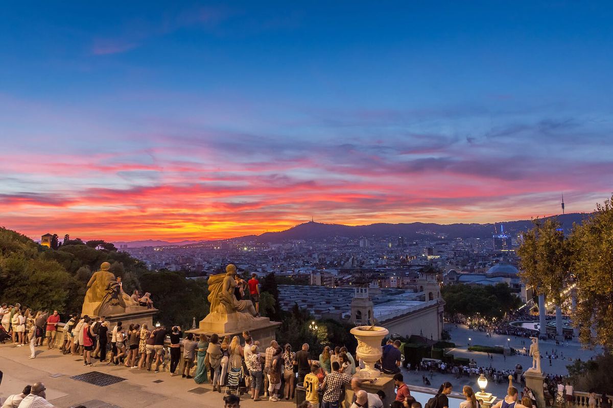 ���� �������� ���������