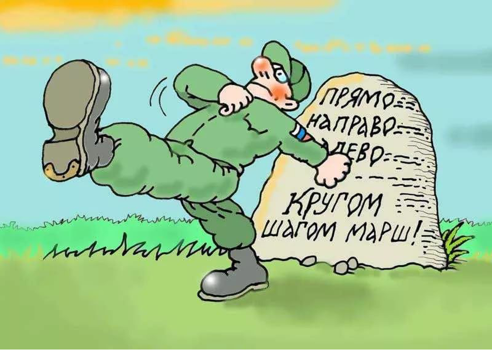 Армейские карикатуры. Карикатуры про армию. Карикатуры на армейскую тему. Солдат карикатура.