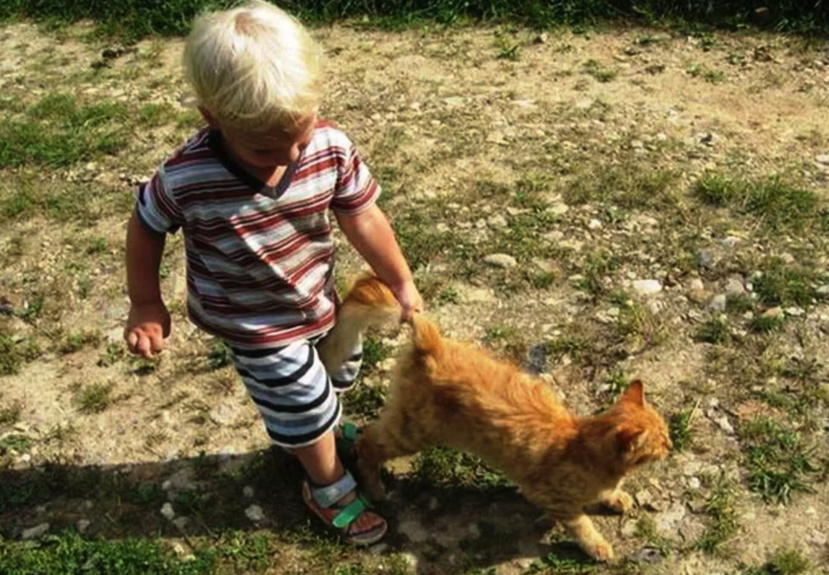 Почему нельзя тянуть. Дети обижают животных. Жестокость детей к животным. Кота за хвост.
