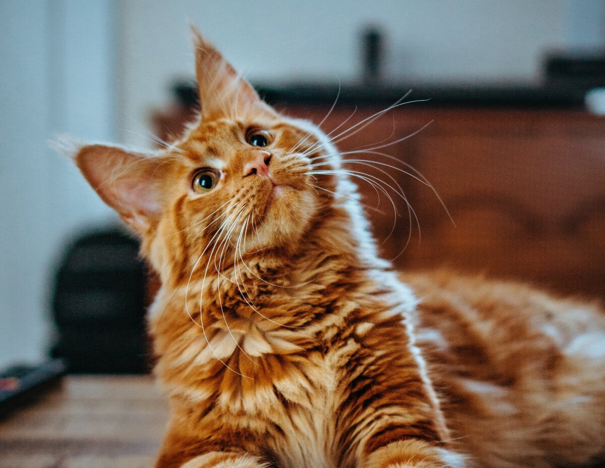 Источник фото: unsplash.com