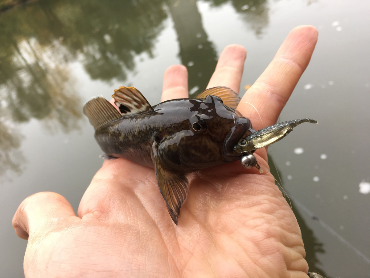 Да-да, вот этот парень претендует на господство в акваториях Европы и Америки. 