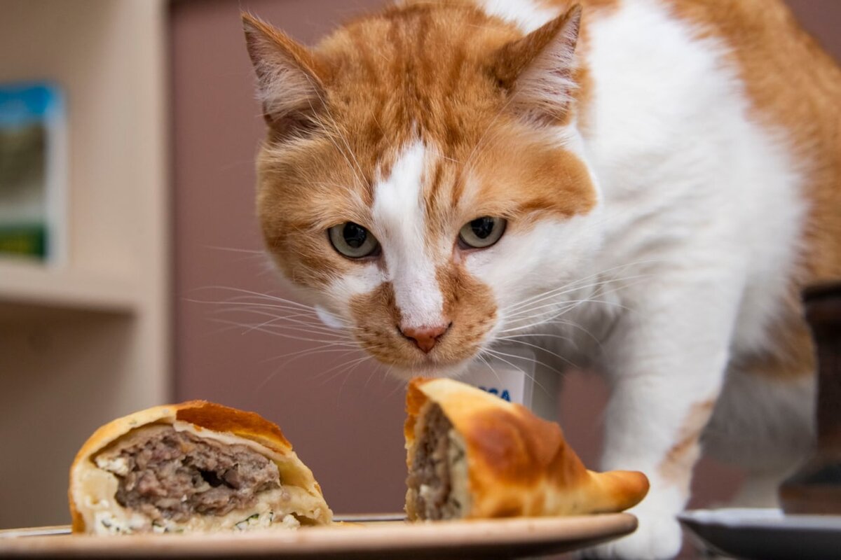 Настоящий караимский пирожок!