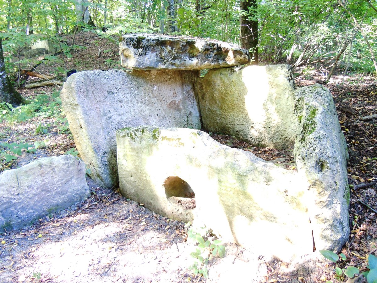 Вот как оправдывают лесорубы хаотичную прокладку ими глубоких, до глины, трелёвочных дорог через леса, поверх старых аккуратных грунтовок, ещё и разрушая при этом древние поселения и могильники разных-51