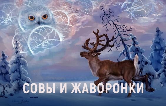 Женские оргазмы: как сыграть гимн сексу на «скрипке женского тела»