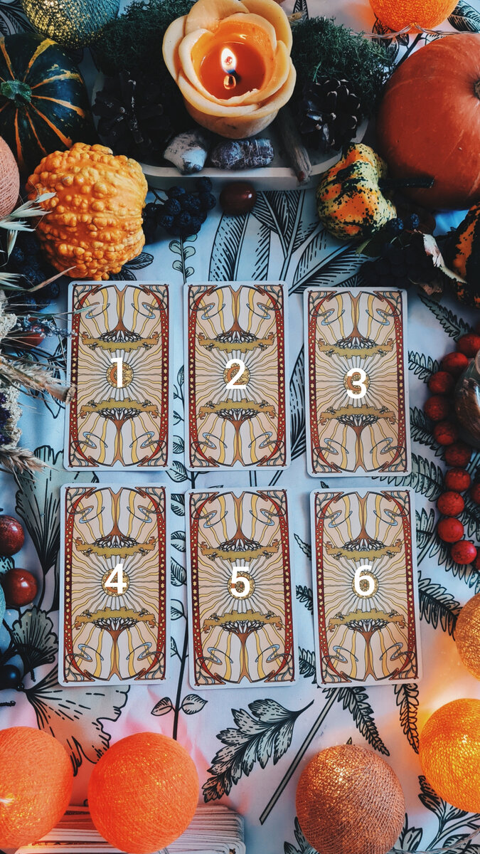 Выберите свой вариант: